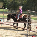 Mary's Country Critters - Petting Zoos