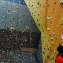 Escalade Rock Climbing Gym - Gymnasiums