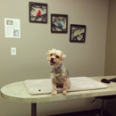 Austin Urban Veterinary Center - Veterinary Clinics & Hospitals