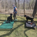 United We Train, llc - Dog Training