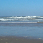 Oceano Dunes State Vehicular Recreation Area