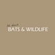All About Bats and Wildlife