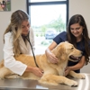 Pet Paradise St. Johns - WGV gallery