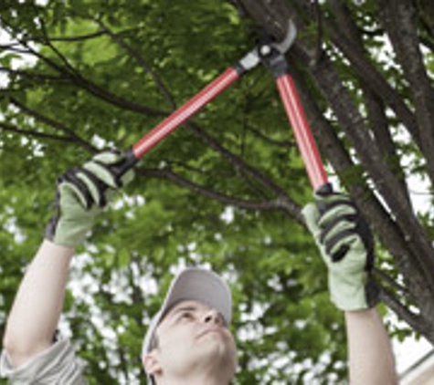 Hawthorne Brothers Tree Service, Inc. - Bedford Hills, NY