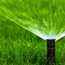 Colorado Lawn Guys - Gardeners