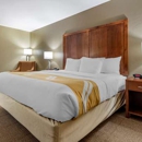 Quality Inn - Motels