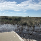 Wooten's Everglades Airboat Tours