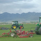Davis Sod Inc.
