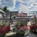 Boothbay Lobster Wharf - Lobsters