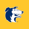 MidMo Dog Guard gallery