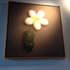 Wild Eggs gallery