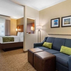 Comfort Suites Central