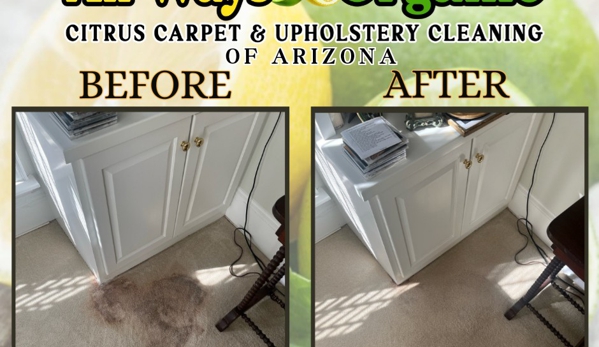 All Ways Organic Citrus Carpet & Upholstery cleaning - Wilmington, NC. Before & After����