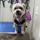 Andy's Grooming & Boarding
