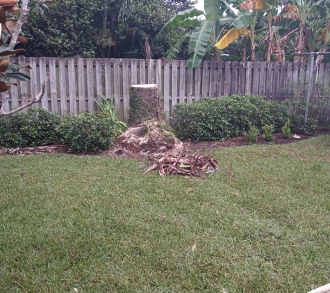 Peace of Mind Tree Service Enterprise, LLC - Palm Bay, FL