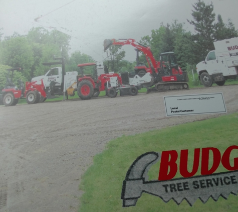 Budget Tree Service - Washington, MI