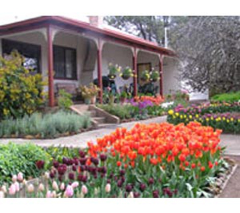 Tulips With A Difference - Kulikup, WA