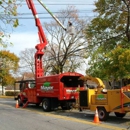 Dillon Tree Service - Tree Service