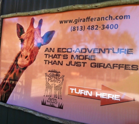 Giraffe Ranch - Dade City, FL