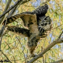 Tolay Lake Regional Park - Places Of Interest