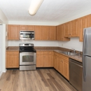 Chestnut Hill South Apartments - Apartments