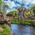 Kilimanjaro Safaris