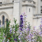 Washington National Cathedral