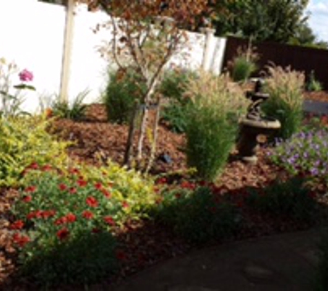 Paradise Landscape & Maintenance - Walnut Creek, CA