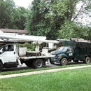 Tree Guys Tree Service - Tree Service