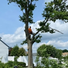 Munz's Landscaping & Construction