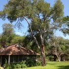 Alamo Tree Service
