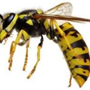Lloyd Pest & Termite Control - Pet Services