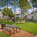 Ascent Citrus Park - Apartments