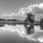 Occoquan Bay Refuge