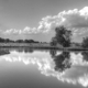 Occoquan Bay Refuge