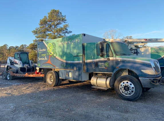 Palmetto Tree Service - Mount Pleasant, SC