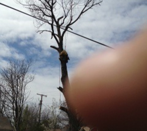 Affordable Tree Services & More - Tulsa, OK