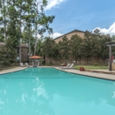 Lexington Apartments - Apartments