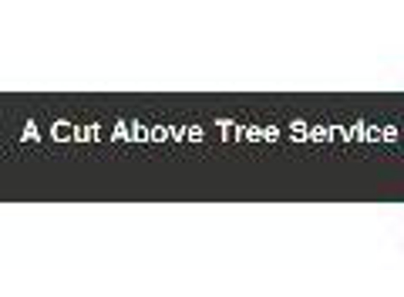 A Cut Above Tree Service - Apache Junction, AZ
