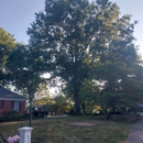 Mountain Man Tree Services - Tree Service
