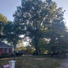 Mountain Man Tree Services