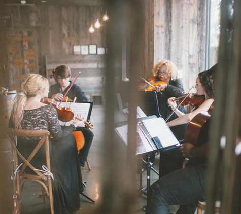 Organic String Quartet - Playa Del Rey, CA