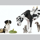 Acorn Hills Animal Center / Amador Veterinary Emergency Clinic - Veterinary Clinics & Hospitals