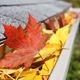 Handsome Roofing