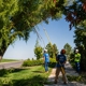 Utah Tree Co.