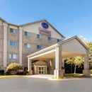 Comfort Suites Keeneland - Motels