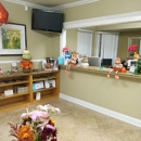 Vista Oasis Smiles - Dentists