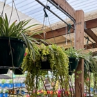 Cavacini Landscaping & Garden Center
