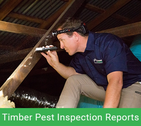 Asset Building & Pest Inspections. Timber Pest Inspection Reports