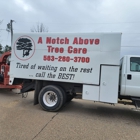 A Notch Above Tree Service